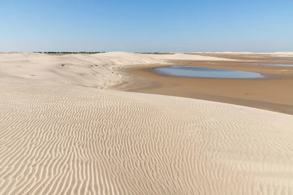 Meer Duinen Met Windmerken Vegetatie Bacopari Mostardas Rio Grande Sul — Stockfoto