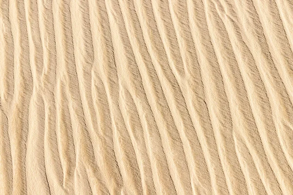 Dunes Wind Marks Bacopari Mostardas Rio Grande Sul Brazília — Stock Fotó