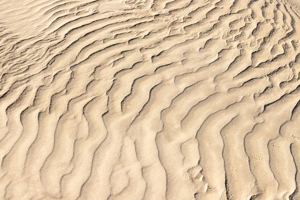 有风标的沙子 Bacopari Mostardas Rio Grande Sul — 图库照片