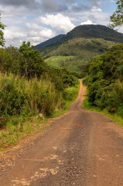 Etrafı ormanla çevrili pis bir yol, Santa Maria do Herval, Rio Grande do Sul, Brezilya