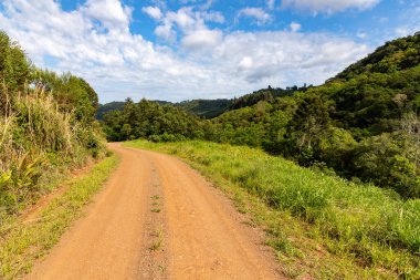 Etrafı ormanla çevrili pis bir yol, Santa Maria do Herval, Rio Grande do Sul, Brezilya