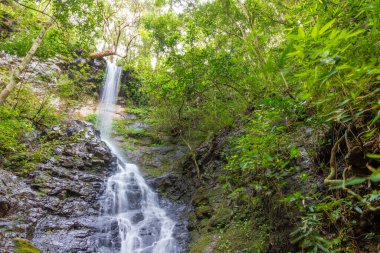 Ormandaki şelale, Sapiranga, Rio Grande do Sul, Brezilya