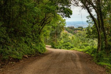 Çevresinde orman ve arka planda şehir olan kirli yol, Sapiranga, Rio Grande do Sul, Brezilya