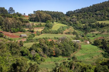 Dağlarda orman olan tarım arazisi, Nova Petropolis, Rio Grande do Sul, Brezilya