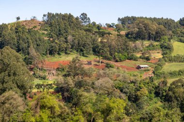 Dağlarda orman olan tarım arazisi, Nova Petropolis, Rio Grande do Sul, Brezilya