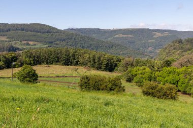 Dağlarda orman olan tarım arazisi, Nova Petropolis, Rio Grande do Sul, Brezilya