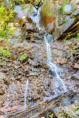 Kayalık ve bitki örtülü küçük şelale, Nova Petropolis, Rio Grande do Sul, Brezilya