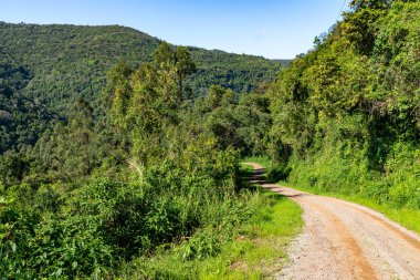 Ormanın çevresindeki kirli yol, Nova Petropolis, Rio Grande do Sul, Brezilya