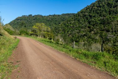 Ormanın çevresindeki kirli yol, Nova Petropolis, Rio Grande do Sul, Brezilya