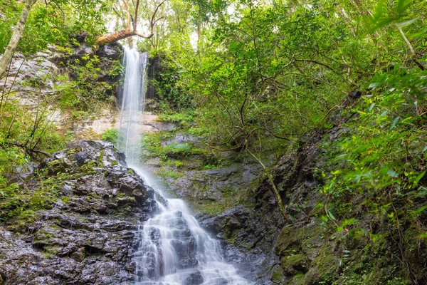 Cascada Bosque Sapiranga Rio Grande Sul Brasil —  Fotos de Stock