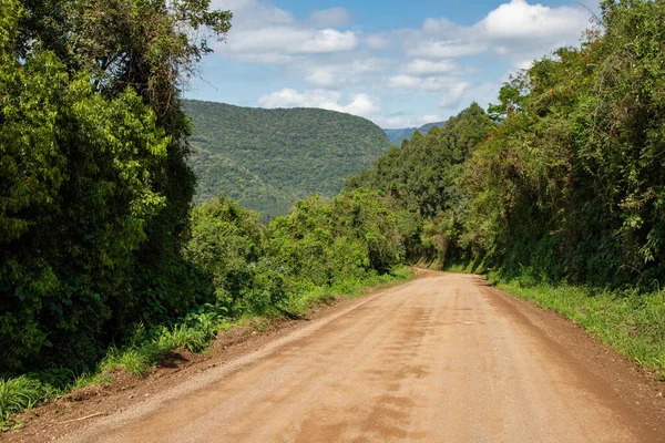 Dirty Road Forest Nova Petropolis Rio Grande Sul Brazília — Stock Fotó