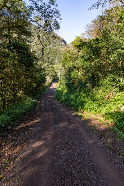 Schmutzige Straße Rund Den Wald Nova Petropolis Rio Grande Sul — Stockfoto