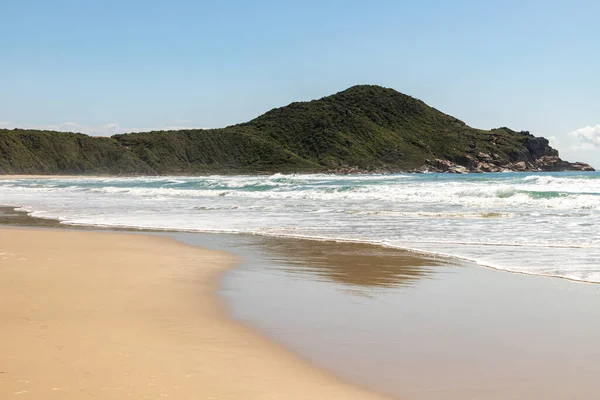 Plaża Lasem Nad Górami Piaskiem Falami Praia Rosa Imbituba Santa — Zdjęcie stockowe