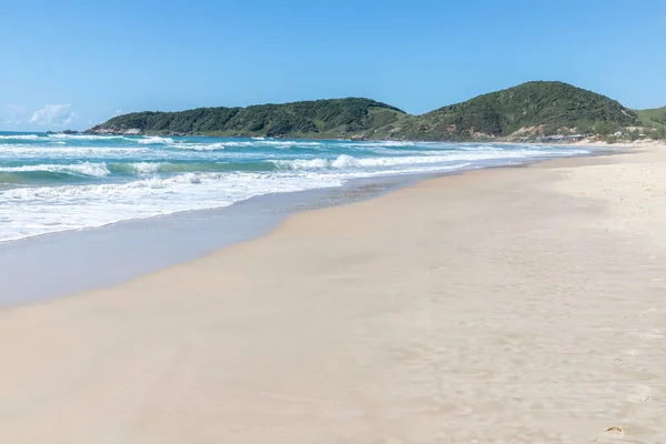 Dağ üzerinde orman, kum ve dalgalar, Praia do Rosa, Imbituba, Santa Catarina, Brezilya