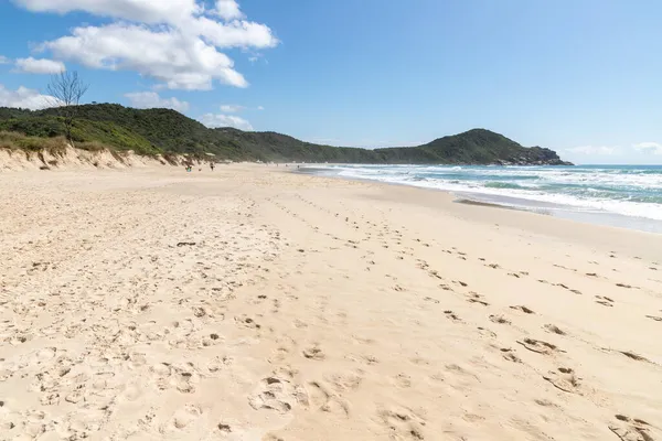 Plaża Lasem Nad Górami Piaskiem Falami Praia Rosa Imbituba Santa — Zdjęcie stockowe