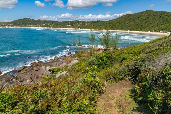 Ścieżka Plażę Skałami Roślinnością Praia Rosa Imbituba Santa Catarina Brazylia — Zdjęcie stockowe