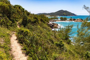 Kayalık bitki örtüsü, dalgalar ve kayalar, Praia do Ouvidor, Garopaba, Santa Catarina, Brezilya