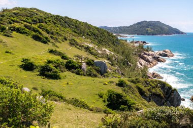 Dalgalı sahil manzarası, kayalar ve bitki örtüsü, Praia do Ouvidor, Garopaba, Santa Catarina, Brezilya