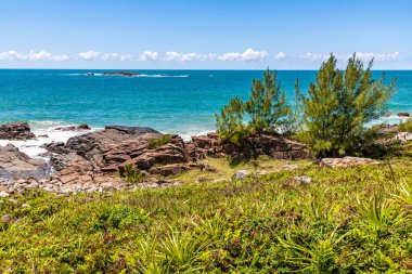 Dalgalı sahil manzarası, kayalar ve bitki örtüsü, Praia do Ouvidor, Garopaba, Santa Catarina, Brezilya