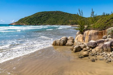 Dalgalar ve bitki örtüsüyle sahil manzarası, Praia Vermelha, Imbituba, Santa Catarina, Brezilya