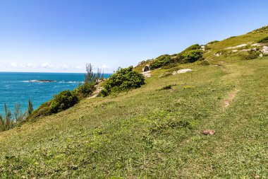 Kayalıkların üzerinden kayalık ve bitki örtüsü, Praia do Ouvidor, Garopaba, Santa Catarina, Brezilya