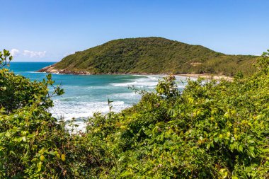Dalgalar ve bitki örtüsüyle sahil manzarası, Praia Vermelha, Imbituba, Santa Catarina, Brezilya
