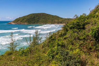 Dalgalar ve bitki örtüsüyle sahil manzarası, Praia Vermelha, Imbituba, Santa Catarina, Brezilya
