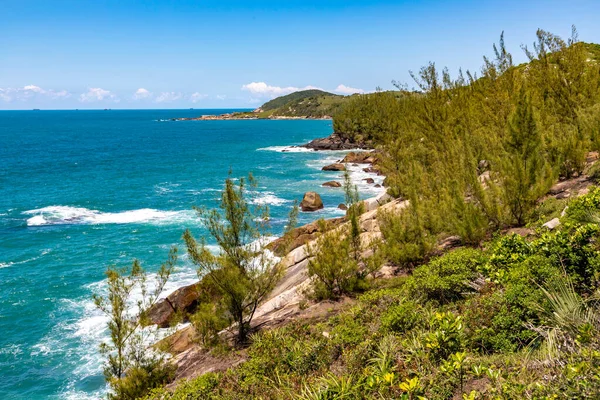 Szlak Roślinnością Klifową Falami Skałami Praia Ouvidor Garopaba Santa Catarina — Zdjęcie stockowe