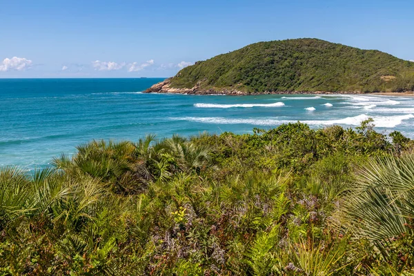 Widok Plażę Falami Roślinnością Praia Vermelha Imbituba Santa Catarina Brazylia — Zdjęcie stockowe