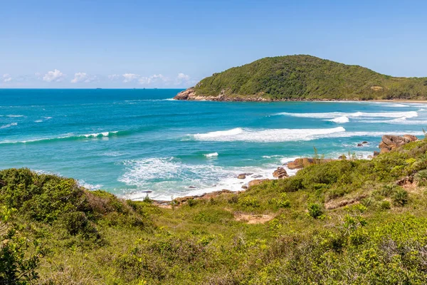 Widok Plażę Falami Roślinnością Praia Vermelha Imbituba Santa Catarina Brazylia — Zdjęcie stockowe