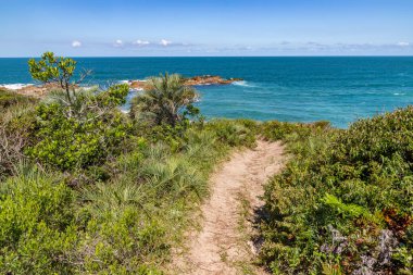 Plaj manzaralı bitki örtüsü, kayalar ve dağlar, Praia Vermelha, Imbituba, Santa Catarina, Brezilya
