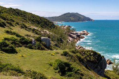 Arka planda okyanus, Praia da Barra, Garopaba, Santa Catarina, Brezilya