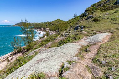 Arka planda okyanus, Praia da Barra, Garopaba, Santa Catarina, Brezilya