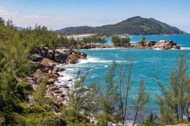 Kayalar, dalgalar, bitki örtüsü ve çam ağaçları, Praia da Barra, Garopaba, Santa Catarina, Brezilya