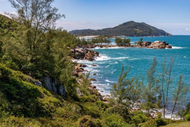 Kayalar, dalgalar, bitki örtüsü ve çam ağaçları, Praia da Barra, Garopaba, Santa Catarina, Brezilya