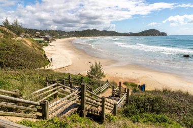 Sahile doğru orman yürüyüşü, Praia do Rosa, Ibiraquera, Santa Catarina, Brezilya