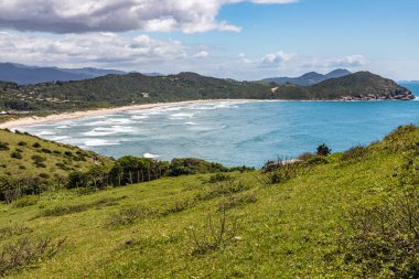 Plaj manzaralı arka planda bitki örtüsü, Praia do Rosa, Ibiraquera, Santa Catarina, Brezilya