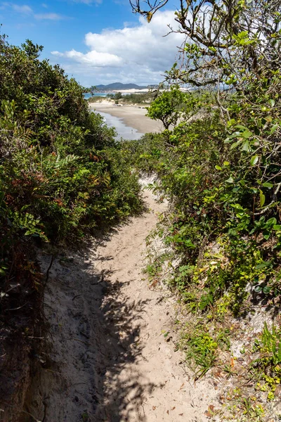 Трасса Пляж Кругом Фасия Озил Ибиракера Санта Кати Бразилия — стоковое фото