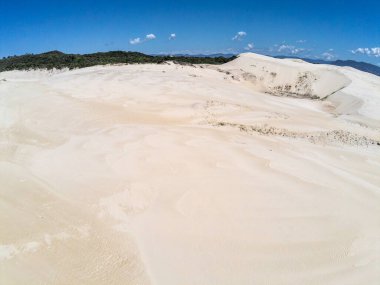 Arka planda bitki örtüsü ve gölü olan kum tepeleri, Ribanceira, Ibiraquera, Santa Catarina, Brezilya