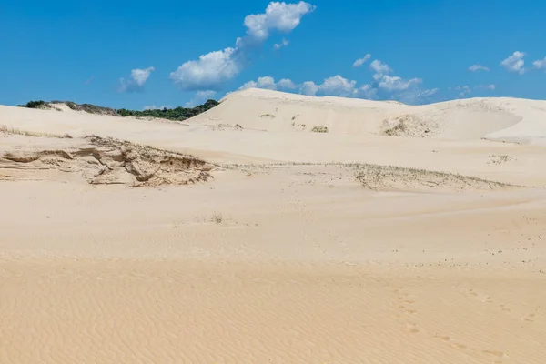 Dunes Vegetation Ribanceira Ibiraquera Imbituba Santa Catarina Brazil — Stock Photo, Image