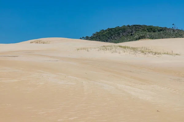 Dunes Vegetation Ribanceira Ibiraquera Imbituba Santa Catarina Brazil — Stock Photo, Image