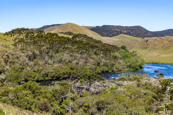 Bosque Araucaria Río Rocas Campos Sobre Montañas Sao Jose Dos — Foto de Stock