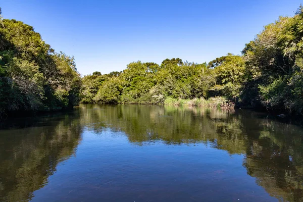 Nehir çevresindeki orman, Sao Jose dos Ausentes, Rio Grande do Sul, Brezilya