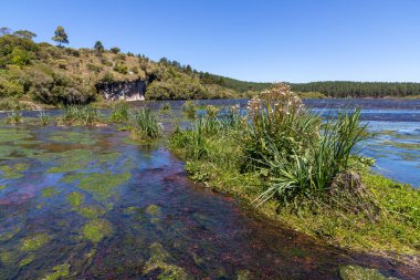 Etrafında kayalar ve bitki örtüsü olan nehir, Jaquirana, Rio Grande do Sul, Brezilya