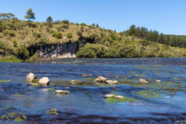 Etrafında kayalar ve bitki örtüsü olan nehir, Jaquirana, Rio Grande do Sul, Brezilya