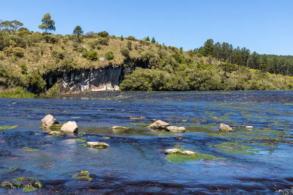 Etrafında kayalar ve bitki örtüsü olan nehir, Jaquirana, Rio Grande do Sul, Brezilya