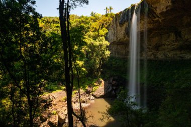 Tropikal ormanda şelale, Rio Grande do Sul, Brezilya