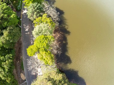 Etrafında orman olan Sao Bernardo Gölü, ao Francisco de Paula, Rio Grande do Sul, Brezilya
