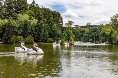 Lago Negro göl ağaçları ve çiçekler, Gramado, Rio Grande do Sul, Brezilya