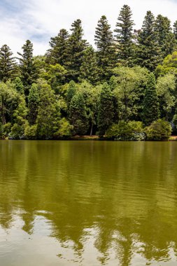Lago Negro göl ağaçları ve çiçekler, Gramado, Rio Grande do Sul, Brezilya